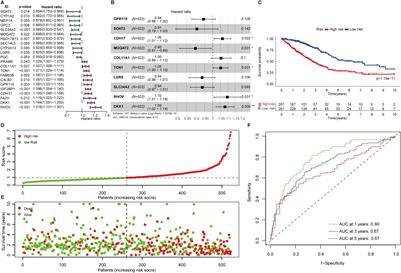 Fatty acid metabolism prognostic signature predicts tumor immune microenvironment and immunotherapy, and identifies tumorigenic role of MOGAT2 in lung adenocarcinoma